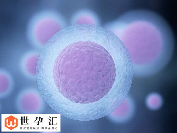 拮抗剂方案移植鲜胚的最佳时间是取卵后的第3天吗？