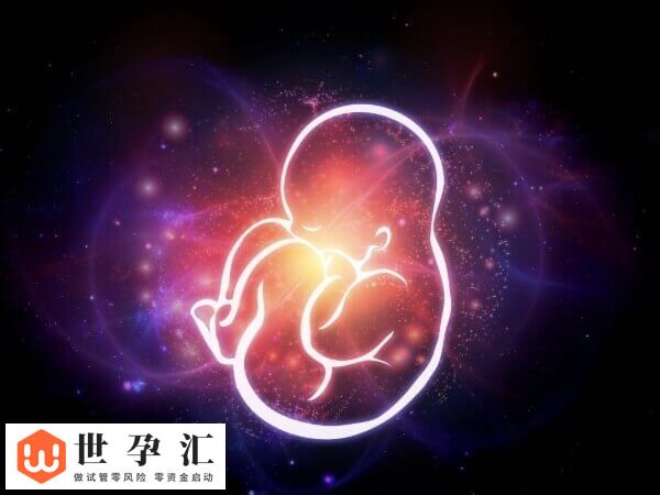 试管移植前除了调整作息和饮食可增加成功率还怎么调理？(图1)