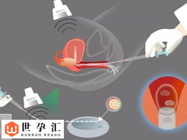 10c4胚胎是不是优质的(图3)