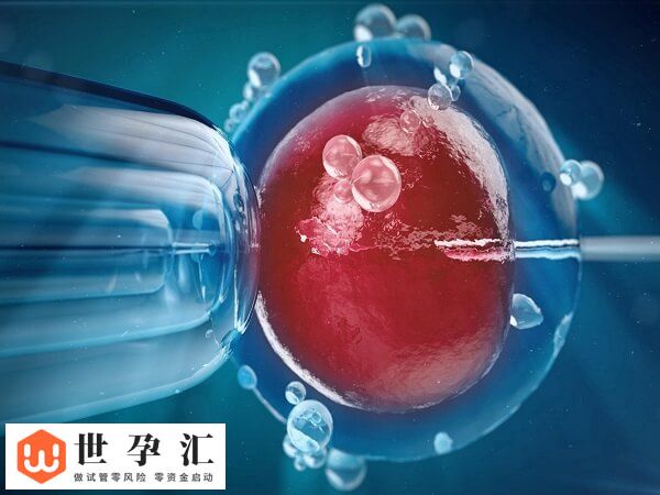 肾积水试管移植两个囊胚有没有影响(图1)