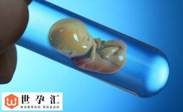 胚胎10c3养囊能否成功(图1) 胚胎10c3养囊能否成功(图1)