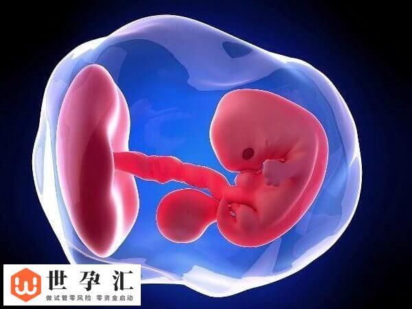 胚胎10c3养囊能否成功(图2) 胚胎10c3养囊能否成功(图2)