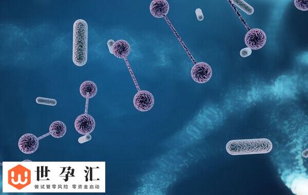 胚胎10c3养囊能否成功(图3) 胚胎10c3养囊能否成功(图3)