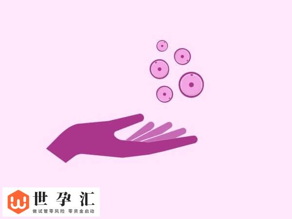 10c2胚胎的成功率高不高(图1) 10c2胚胎的成功率高不高(图1)