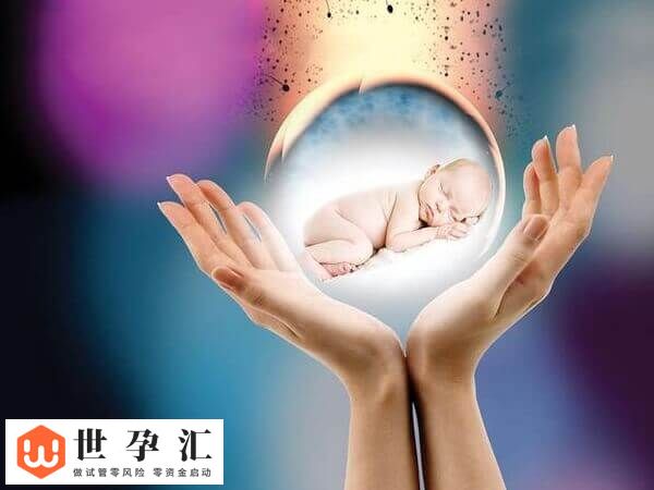 移植9细胞2级胚容不容易着床(图2) 移植9细胞2级胚容不容易着床(图2)