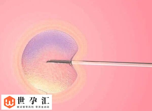 胚胎移植后出血正不正常(图1) 胚胎移植后出血正不正常(图1)