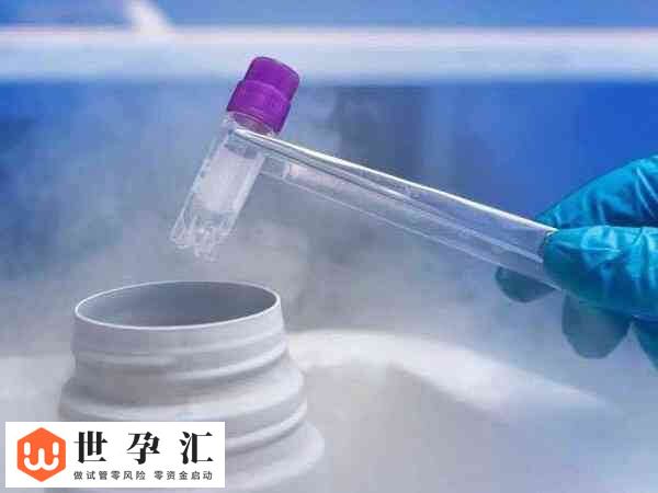 胚胎移植后出血正不正常(图3) 胚胎移植后出血正不正常(图3)