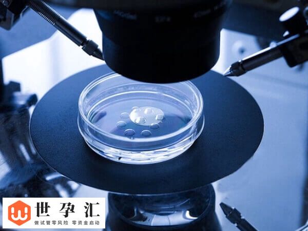 4bc和4ac哪个是最差的囊胚？移植成功率分别是多高呢？(图1)