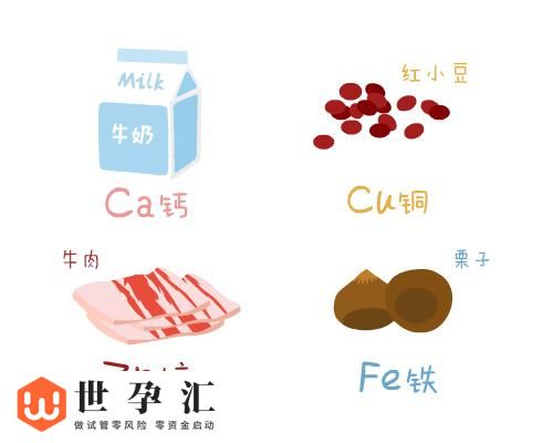 备孕男性需预防微量元素缺乏