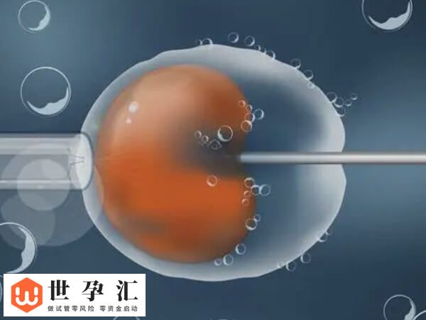 试管建档之后下一步干嘛