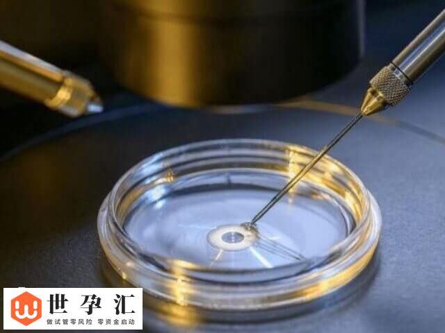 试管建档之后下一步干嘛(图3)