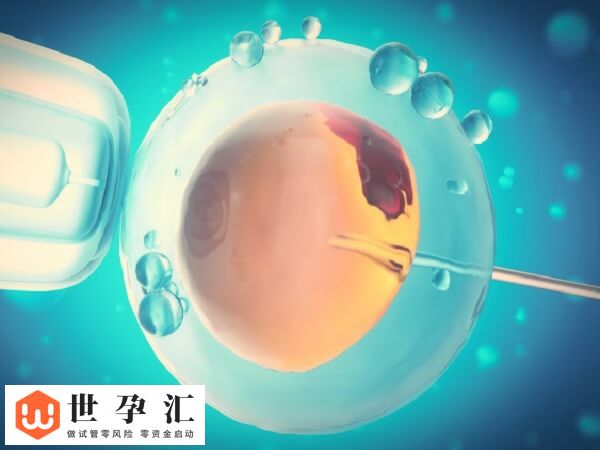 试管孩子是不是真的智商低