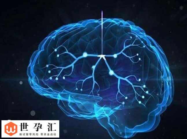 试管孩子是不是真的智商低(图2)