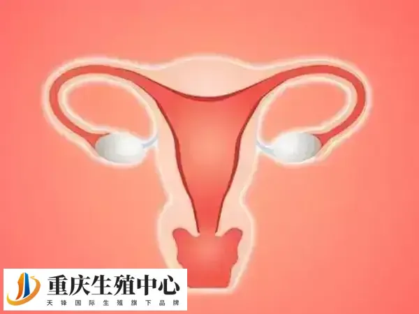 由炎症感染而造成宫腔粘连
