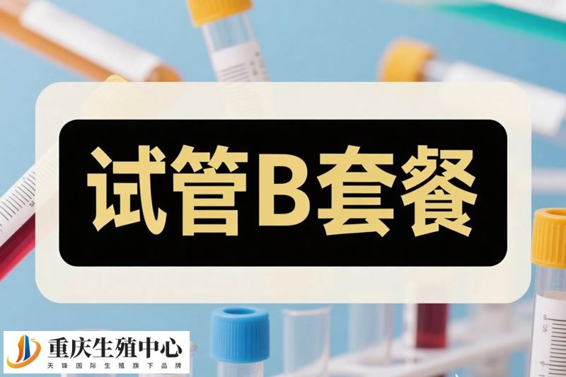 试管B套餐