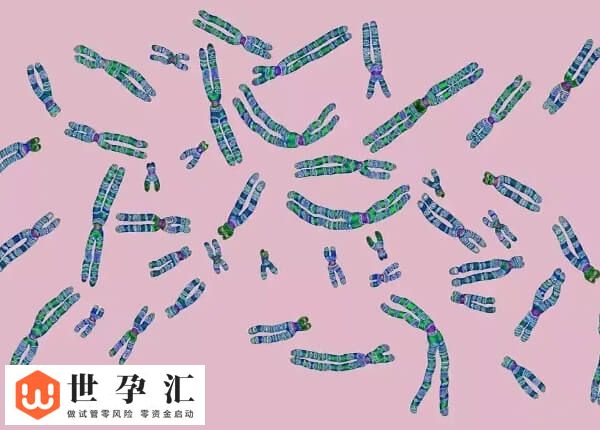 试管精卵结合却不发育怎么办(图1)