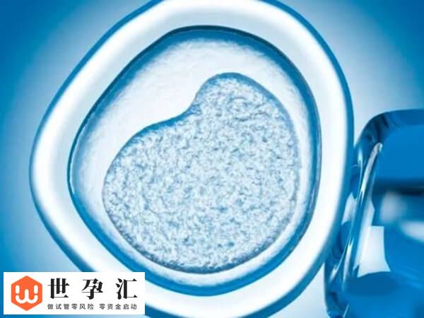 试管进周前血压高怎么办(图1)