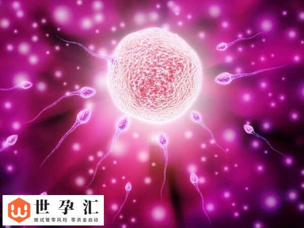 试管移植后耳鸣是不是成了