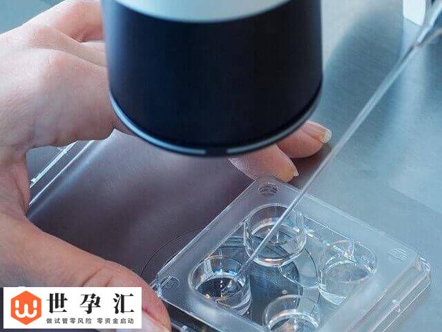 三代试管移植成功了要注意什么(图1)
