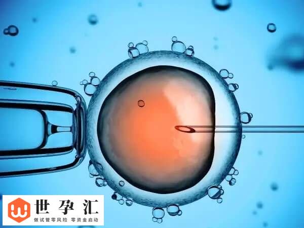不结婚能不能做试管要个孩子(图1) 不结婚能不能做试管要个孩子(图1)